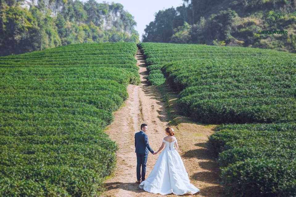 Chụp ảnh cưới ngoại cảnh tại Mộc Châu