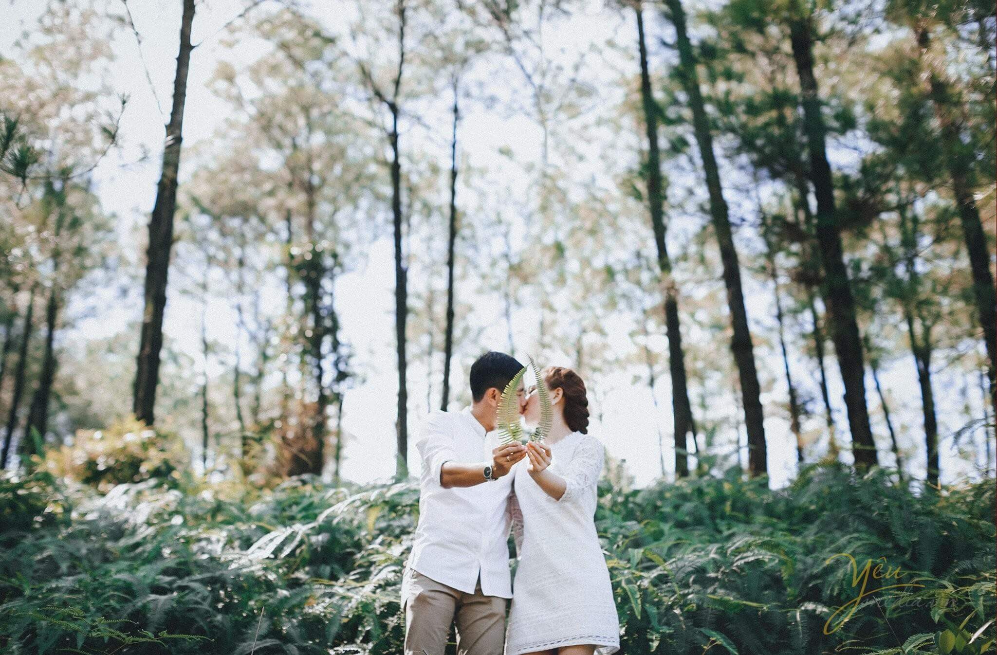 Địa điểm chụp ảnh cưới ngoại cảnh - Đồi thiên văn