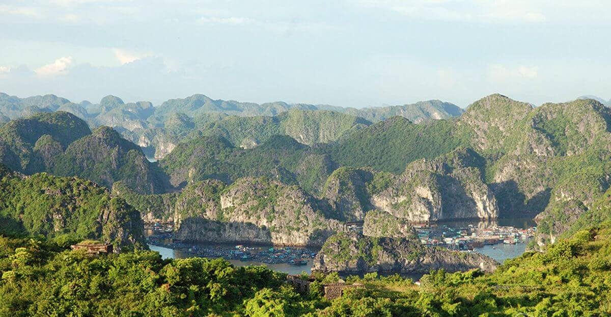 những chỗ chụp ảnh đẹp ở hải phòng - vườn quốc gia cát bà