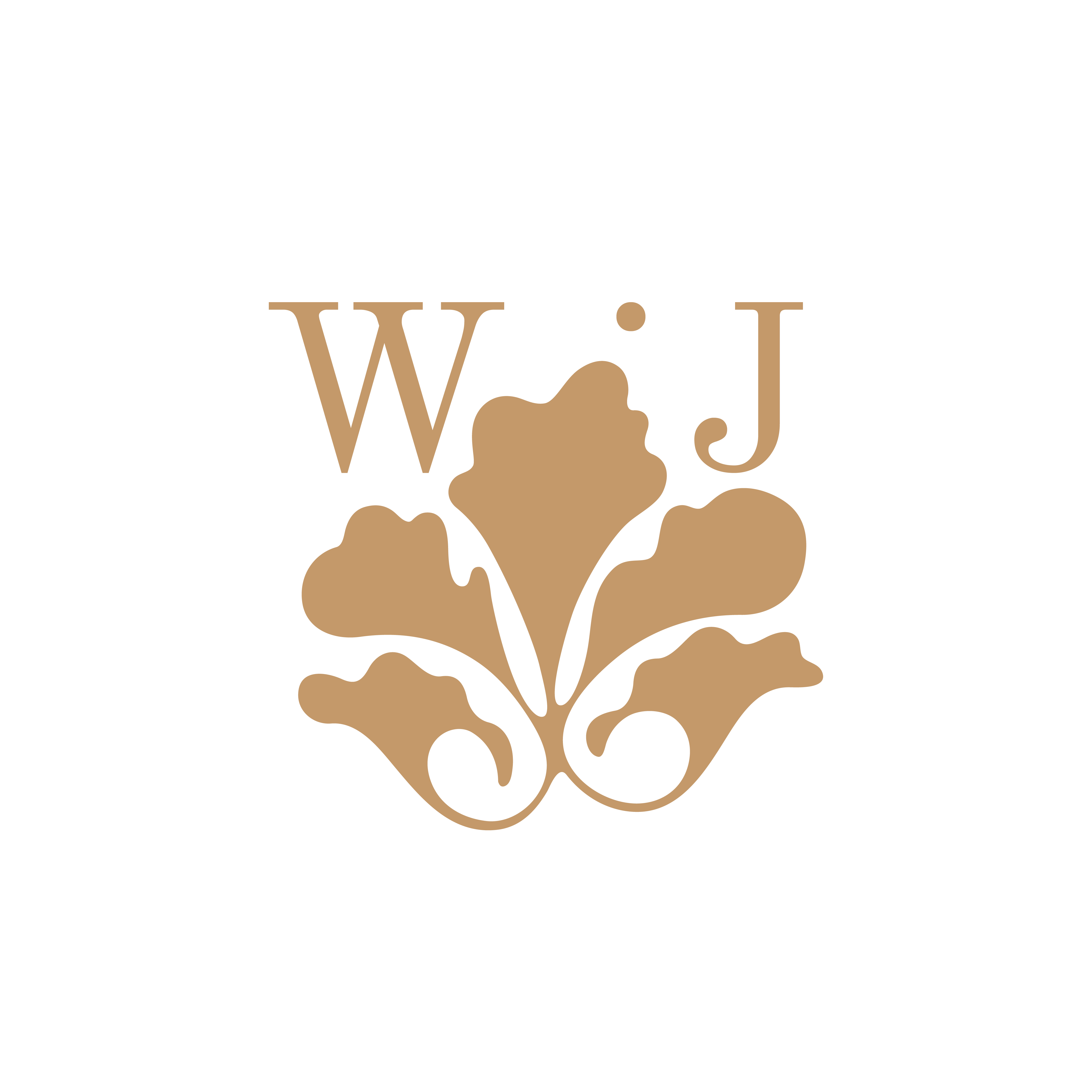 logo footer